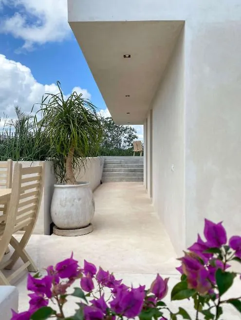 Villa In Aldea Zama With Private Pool-Transportation Included! Tulum 0*,  Mexico